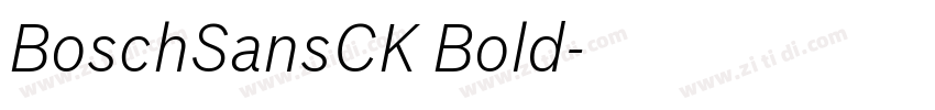 BoschSansCK Bold字体转换
